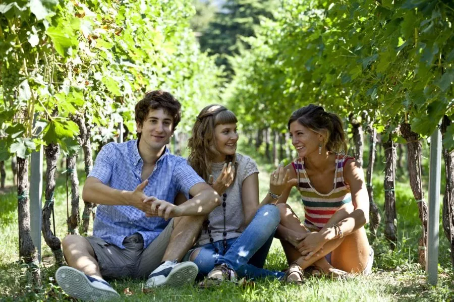 Immagine Cantina Gozzi 5