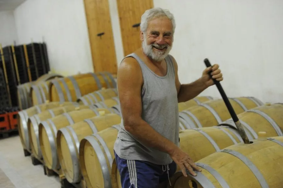 Immagine Cantina Gozzi 6 Immagine Cantina Gozzi 6