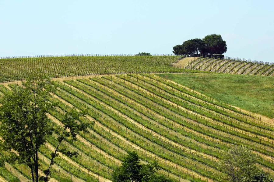 Immagine Tenuta Le Fracce 10 Immagine Tenuta Le Fracce 10