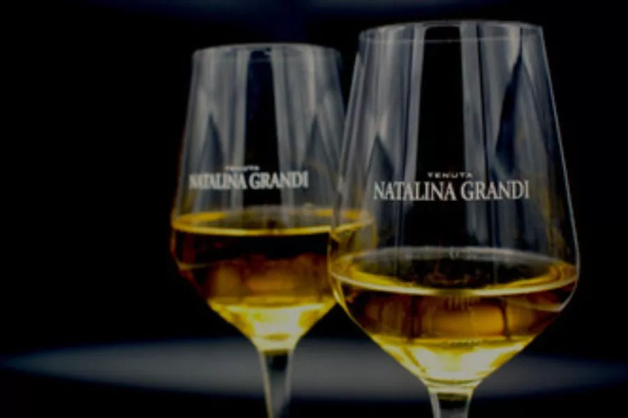 Immagine Tasting Let's get to know each other 6