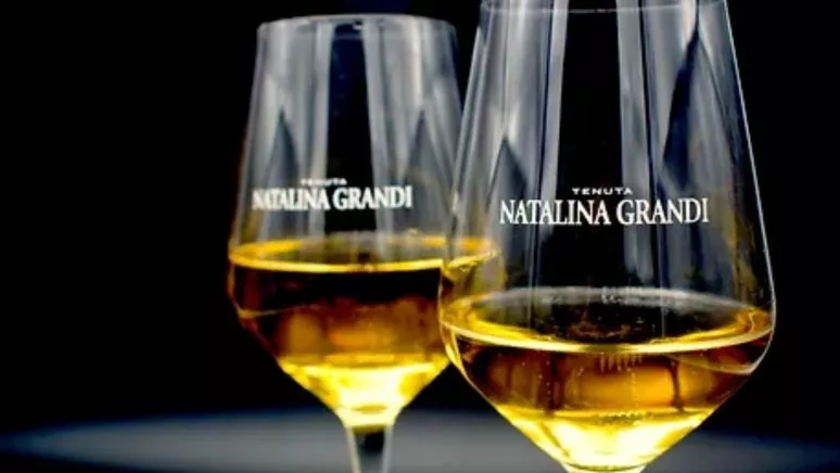 Immagine visita Vollständige Verkostung cantina Tenuta Natalina Grandi Immagine visita Vollständige Verkostung cantina Tenuta Natalina Grandi