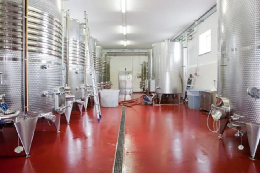 Immagine Cantina Biologica Ciucci 3