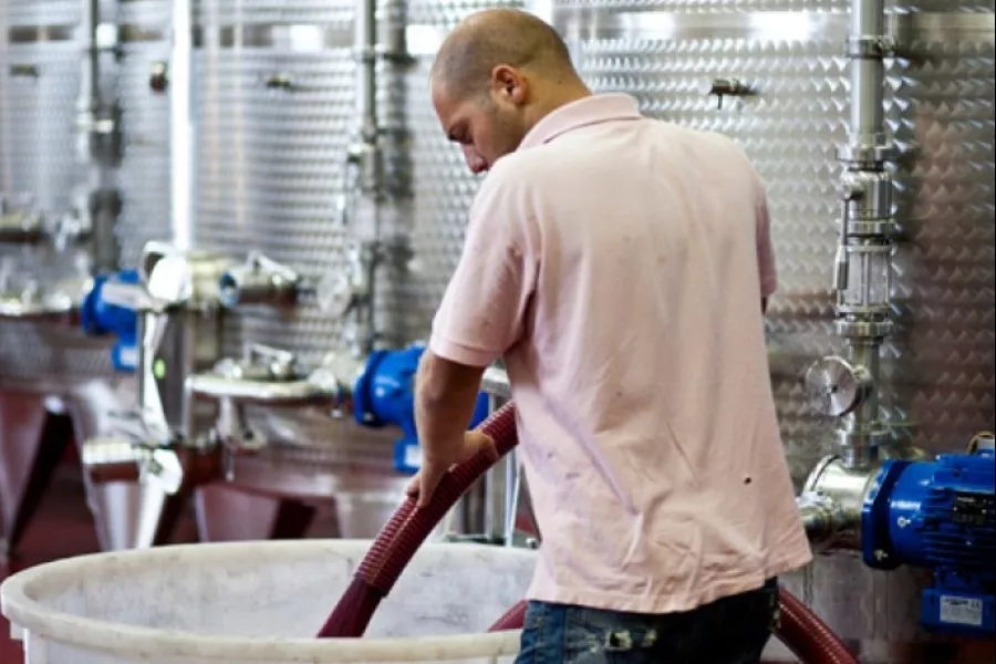 Immagine Cantina Biologica Ciucci 5