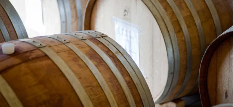 Immagine visita VISITA CON DEGUSTAZIONE cantina Cantina Biologica Ciucci