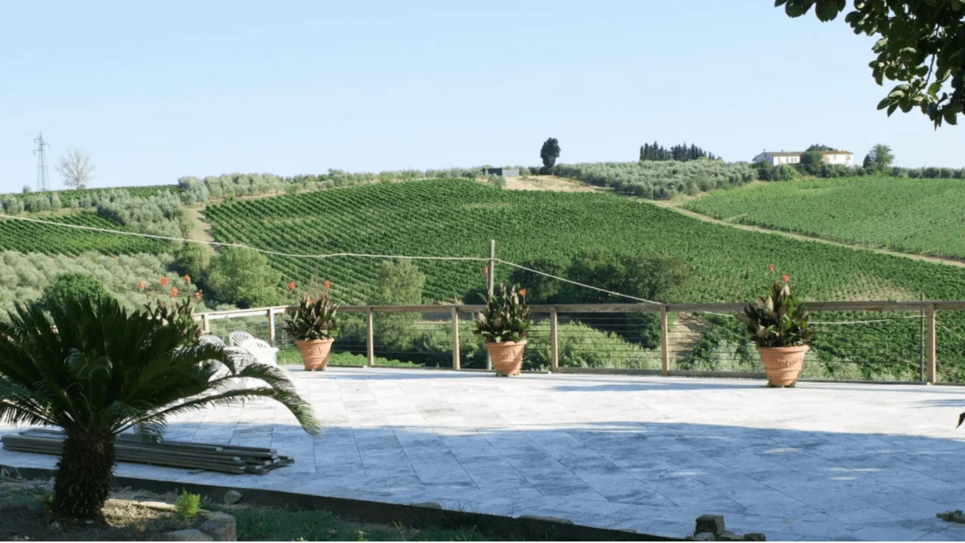 Immagine cantina Cantina Falzari