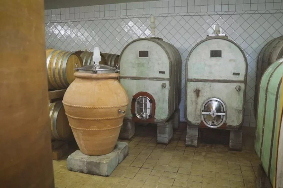 Immagine Cantina Falzari 5 Immagine Cantina Falzari 5