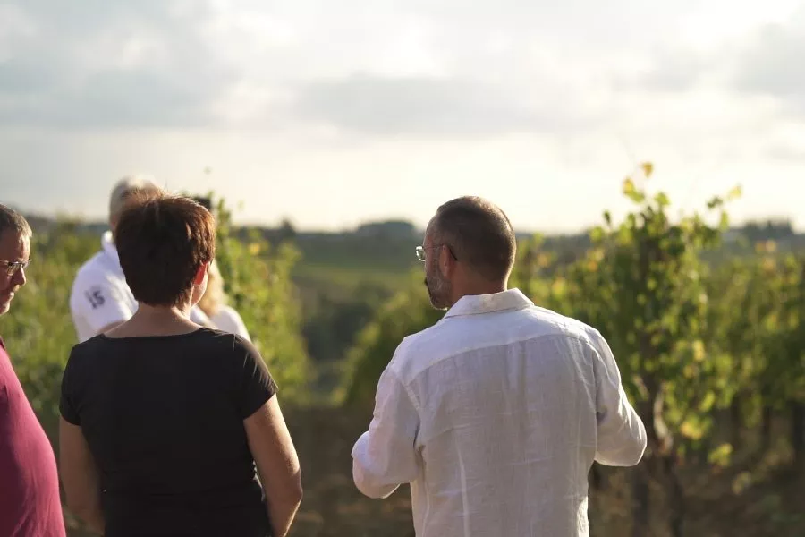 Immagine Degustazione vini e olio 8 Immagine Degustazione vini e olio 8