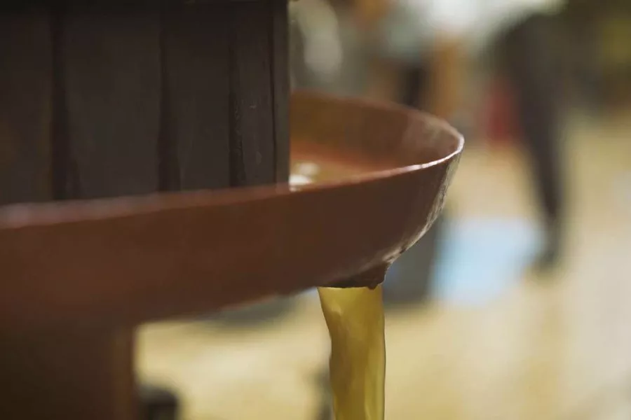 Immagine Degustazione vini e olio 10 Immagine Degustazione vini e olio 10