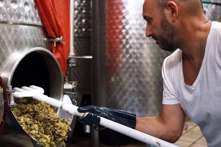 Immagine Degustazione vini e olio 13 Immagine Degustazione vini e olio 13