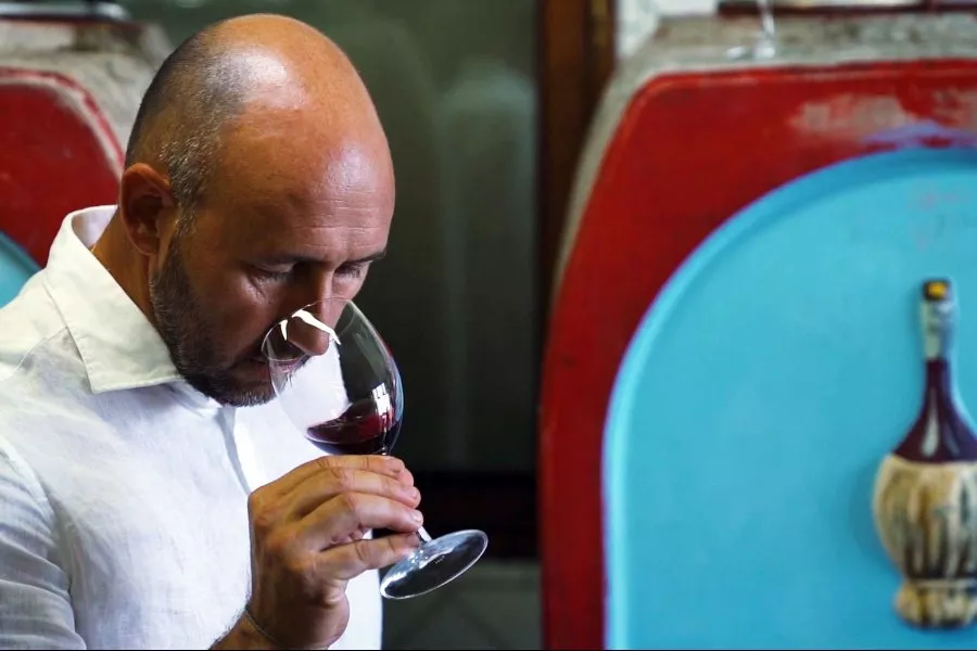 Immagine Degustazione vini e olio 15 Immagine Degustazione vini e olio 15
