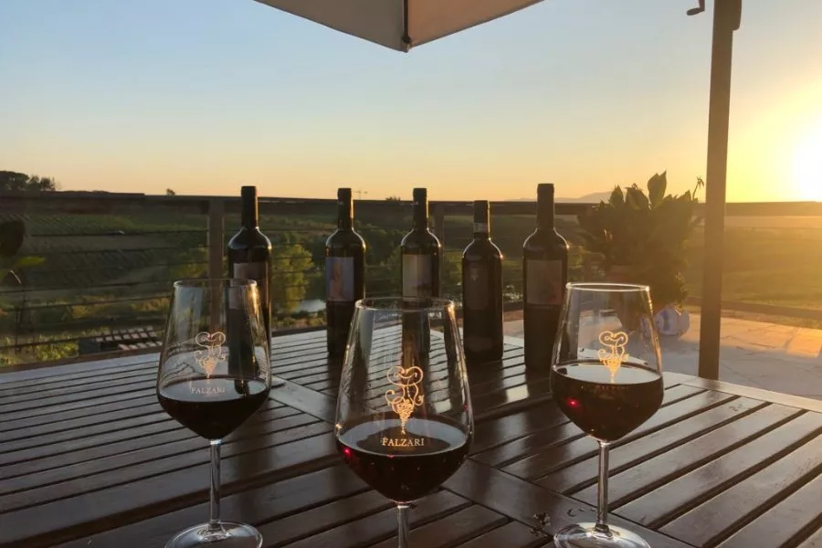 Immagine Degustazione vini e olio 18 Immagine Degustazione vini e olio 18