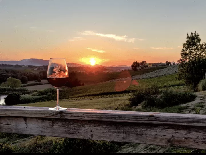 Immagine Cantina Falzari 2