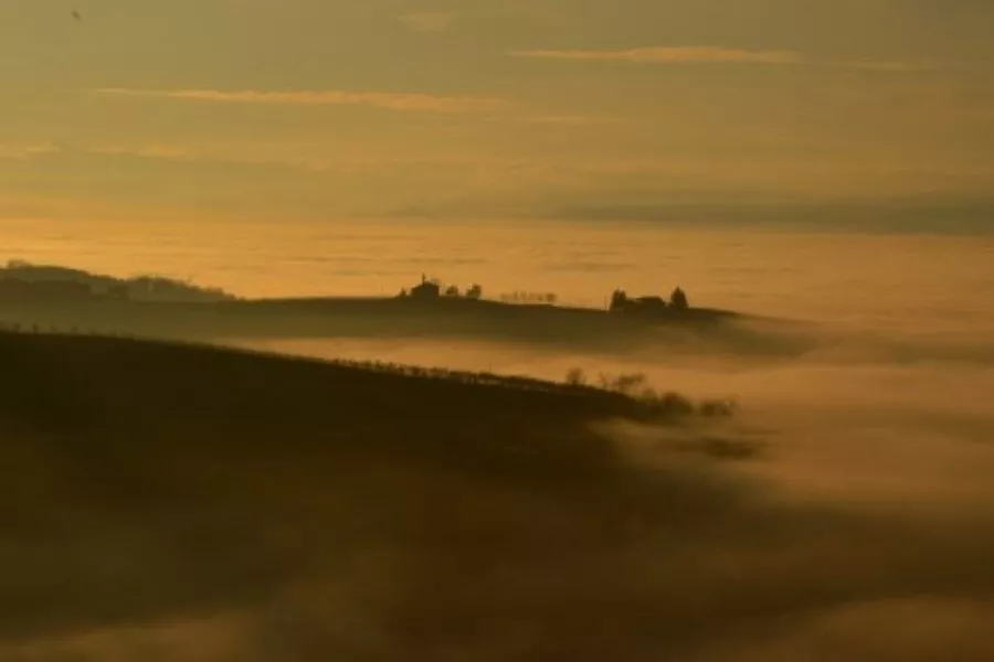 Immagine Anna Maria Abbona 4 Immagine Anna Maria Abbona 4
