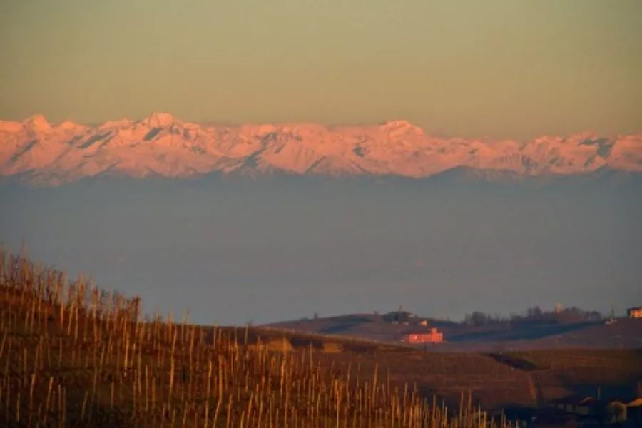 Immagine Degustazione 3 DOCG 7 Immagine Degustazione 3 DOCG 7