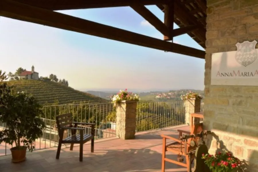 Immagine Degustazione 3 DOCG 8 Immagine Degustazione 3 DOCG 8