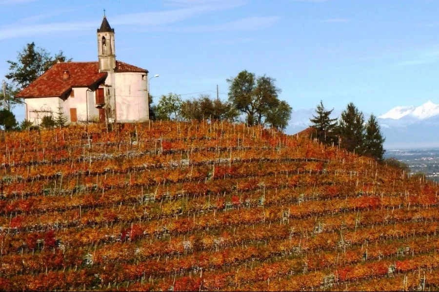 Immagine Degustazione 3 DOCG 16 Immagine Degustazione 3 DOCG 16