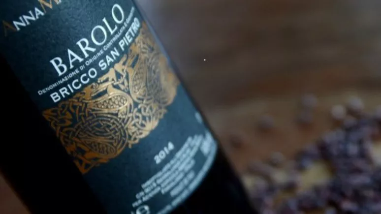 Immagine visita Degustazione 3 DOCG cantina Anna Maria Abbona