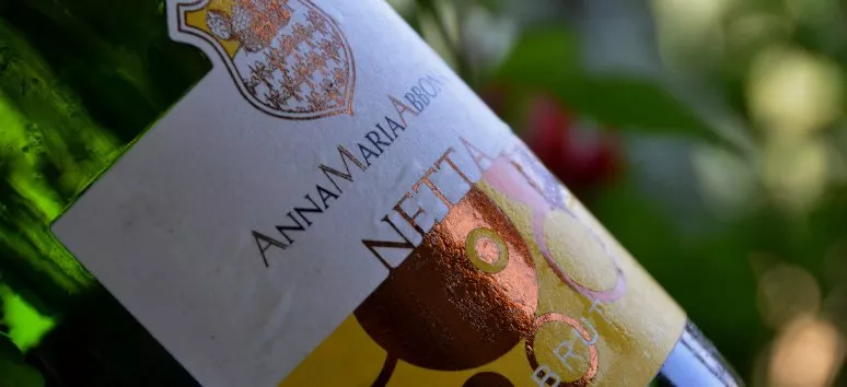 Immagine visita Weiße Erde Verkostung cantina Anna Maria Abbona