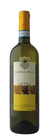 Immagine vino Langhe Nascetta DOC Netta  