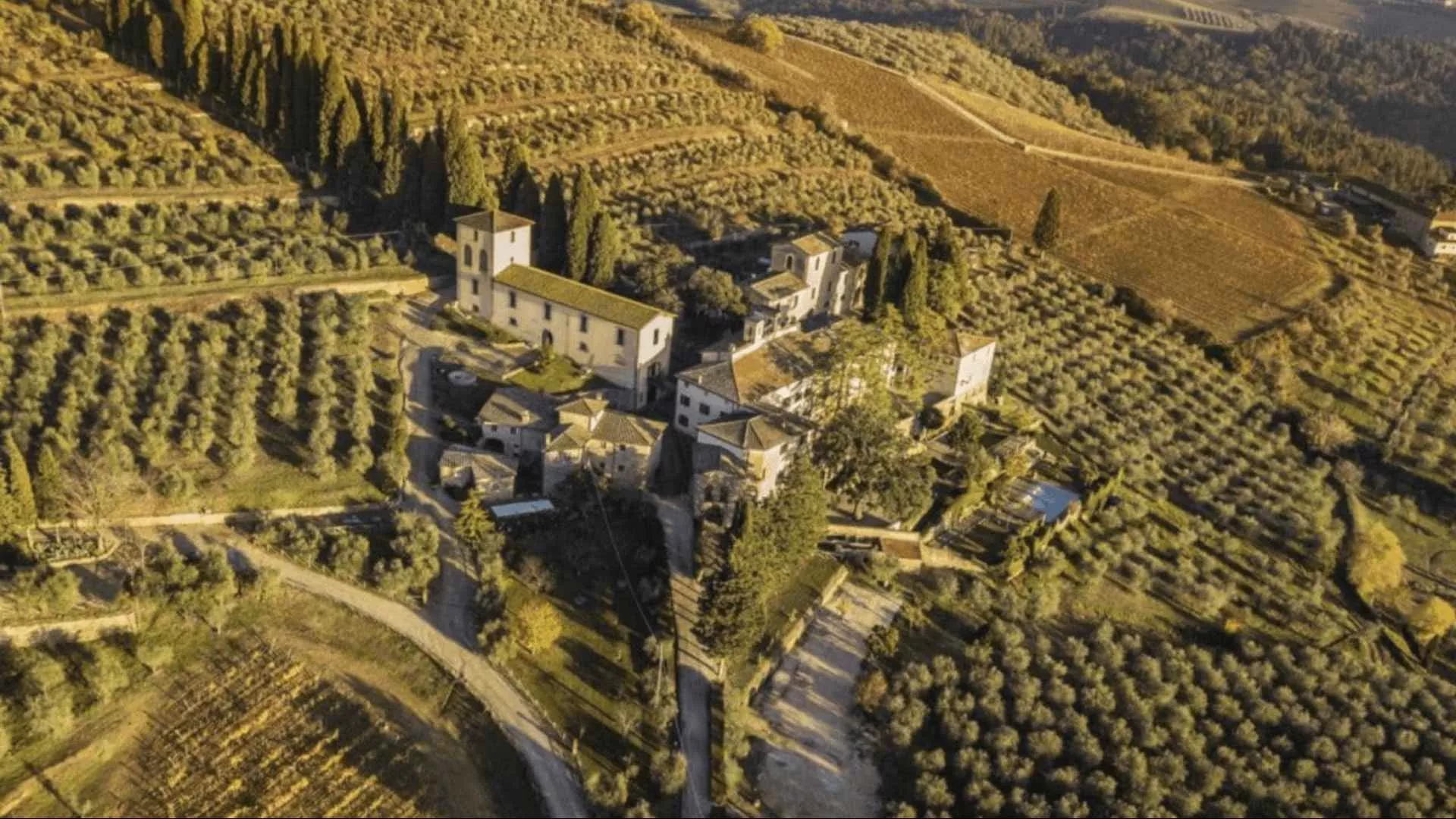 Immagine Wine tasting 2
