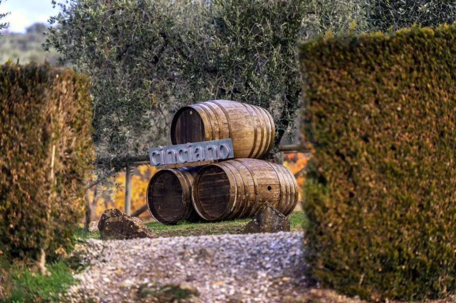 Immagine Fattoria di Cinciano 5 Immagine Fattoria di Cinciano 5