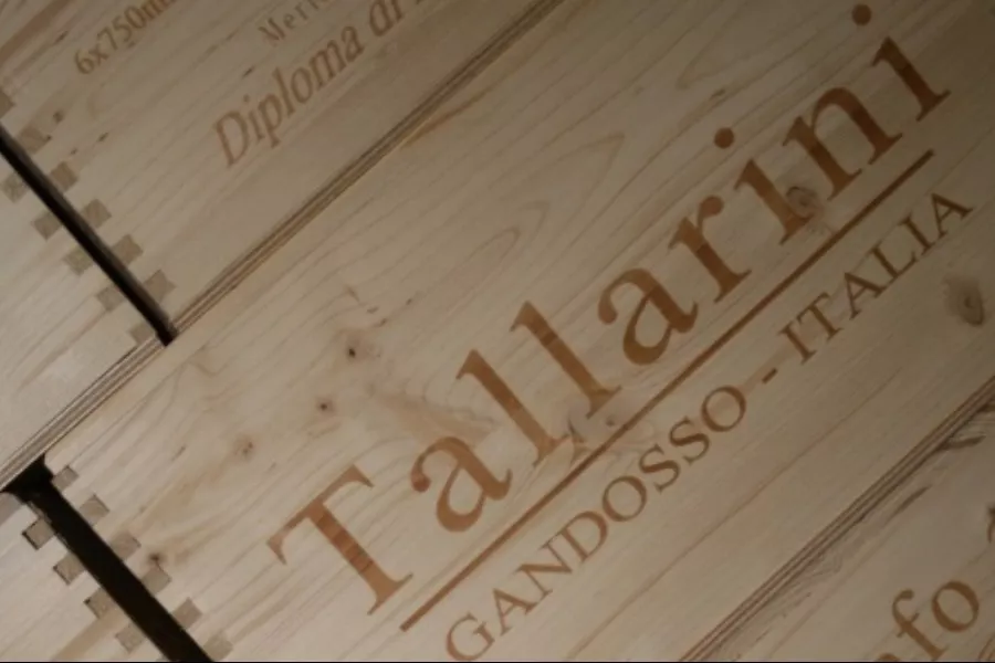Immagine Degustazione Stellata con Visita alla cantina 16