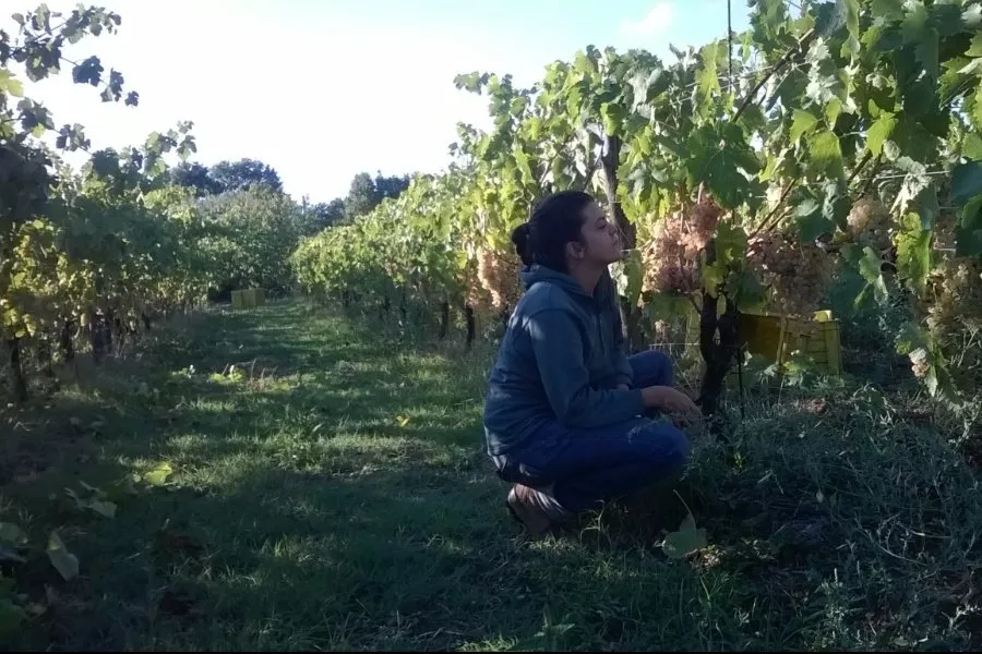 Immagine Sfumature del bianco 19 Immagine Sfumature del bianco 19