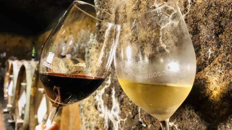 Immagine visita Kaos vulcanico cantina SASSOTONDO
