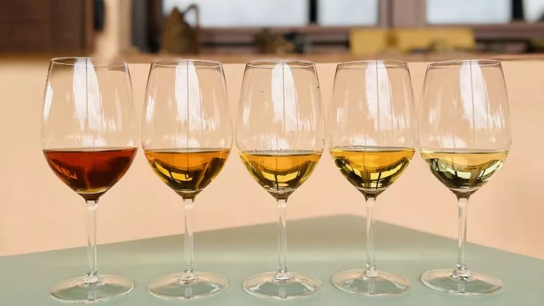 Immagine visita Sfumature del bianco cantina SASSOTONDO