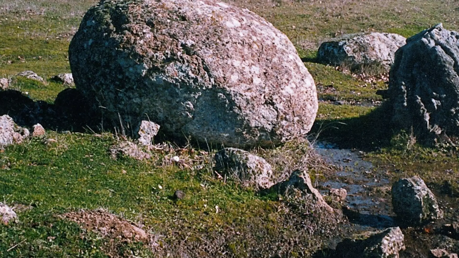 Immagine Sfumature del bianco 4 Immagine Sfumature del bianco 4