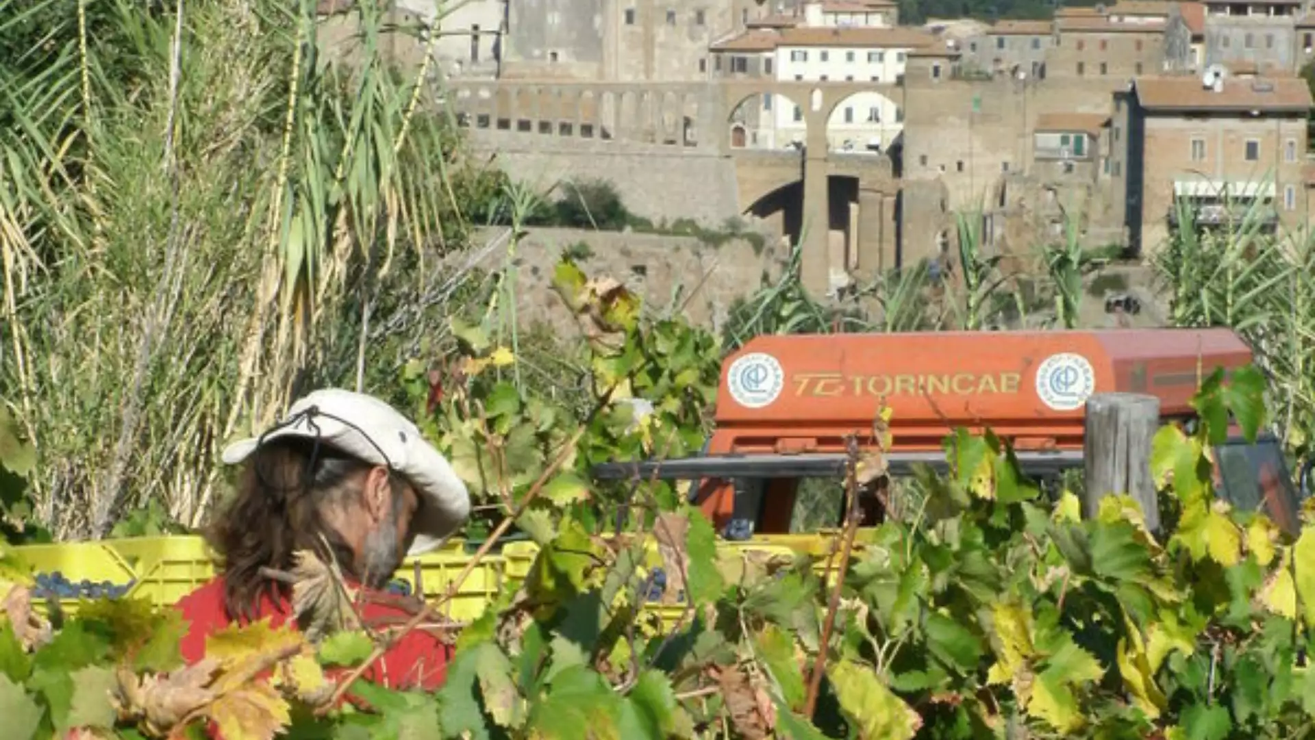 Immagine i colori di sassotondo 4 Immagine i colori di sassotondo 4