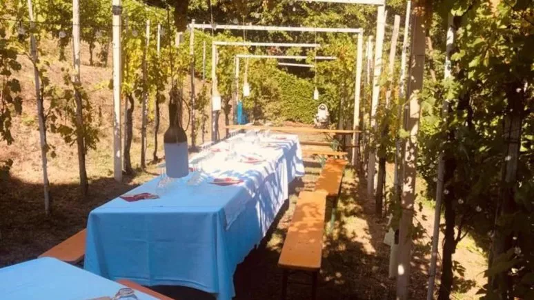 Immagine visita Amateur cantina La Corona Immagine visita Amateur cantina La Corona