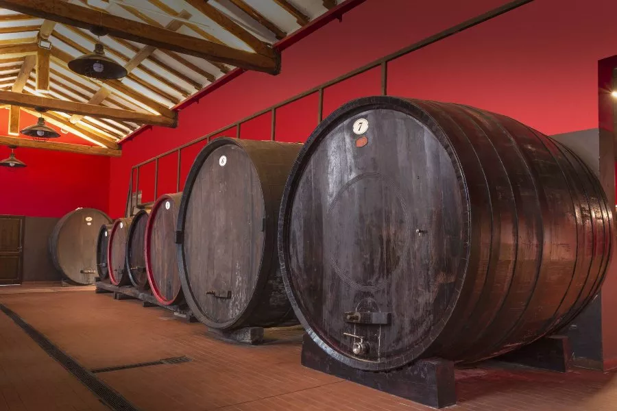 Immagine Visita in Acetaia con degustazione di Aceto Balsamico di Modena e Parmigiano Reggiano DOP 11 Immagine Visita in Acetaia con degustazione di Aceto Balsamico di Modena e Parmigiano Reggiano DOP 11