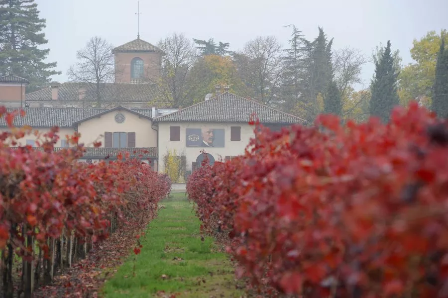 Immagine Cleto Chiarli 5