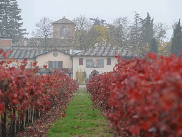 Immagine Cleto Chiarli 2