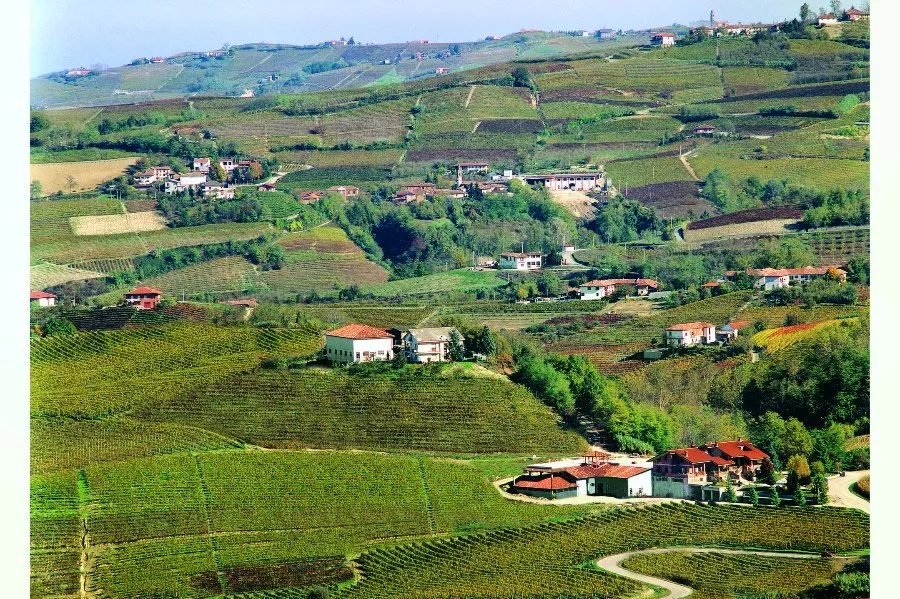 Immagine Cantina Bera 5 Immagine Cantina Bera 5