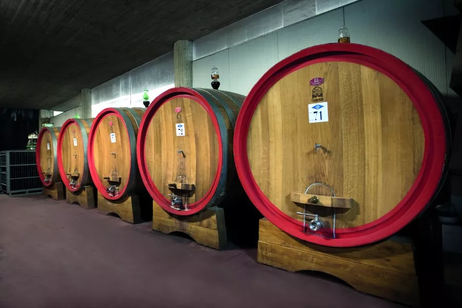 Immagine Cantina Bera 6 Immagine Cantina Bera 6