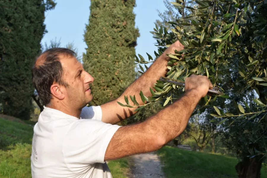 Immagine Visita con degustazione 18 Immagine Visita con degustazione 18