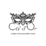 CA' D'OR logo CA' D'OR logo