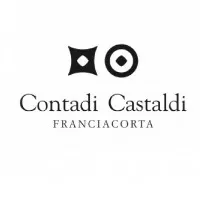 Contadi Castaldi logo Contadi Castaldi logo