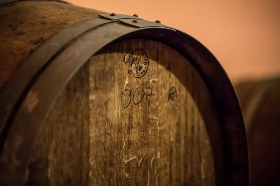 Immagine Cantina Sgreva 6 Immagine Cantina Sgreva 6