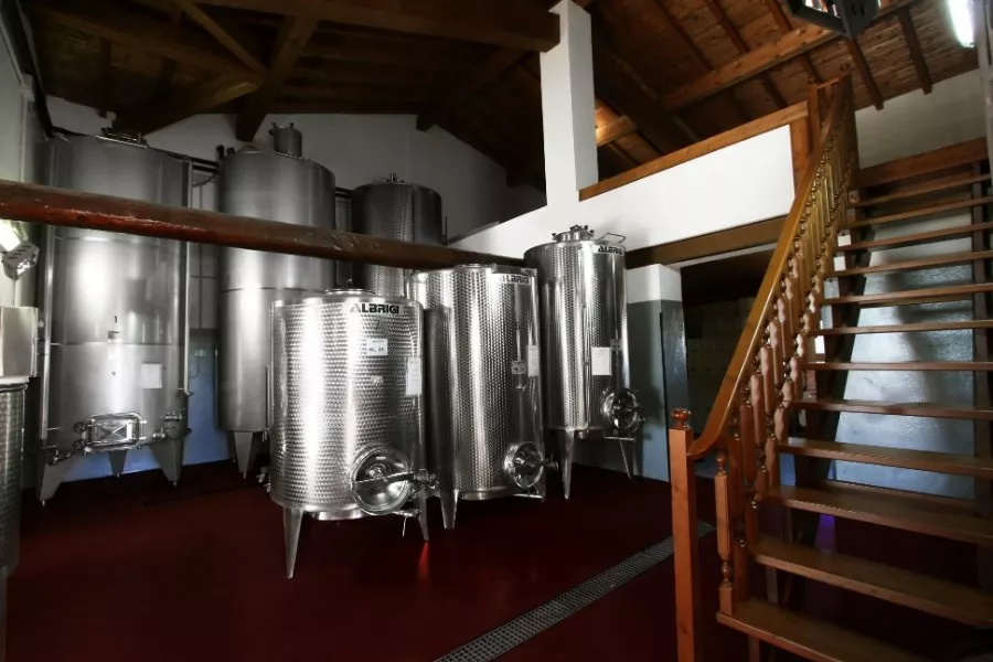 Immagine Cantina Sgreva 9 Immagine Cantina Sgreva 9