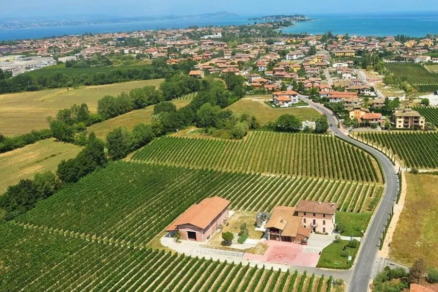 Immagine Cantina Sgreva 10 Immagine Cantina Sgreva 10