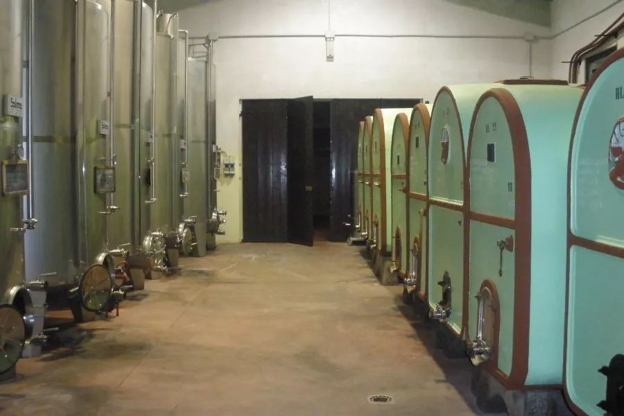 Immagine Cantina Pasini La Torre 5 Immagine Cantina Pasini La Torre 5