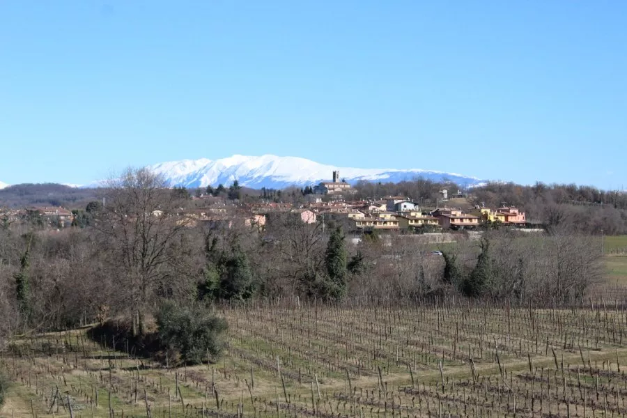 Immagine V per Valtènesi 11 Immagine V per Valtènesi 11