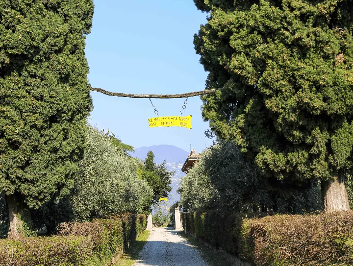 Immagine Cantina Pasini La Torre 2