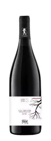 Immagine vino Radici