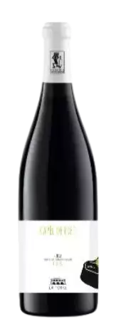 Immagine vino Capèl de Pret