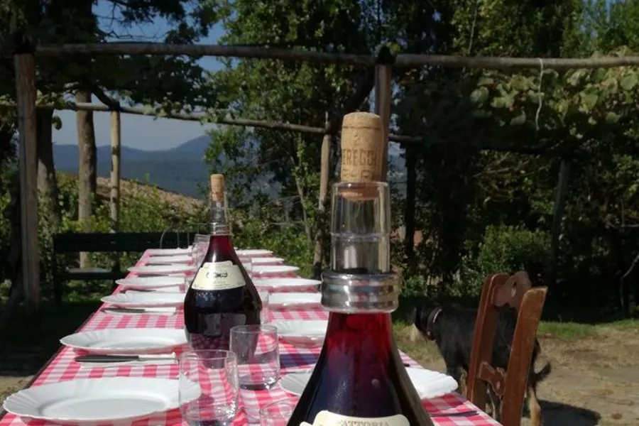 Immagine Visita con degustazione vino e olio 7 Immagine Visita con degustazione vino e olio 7