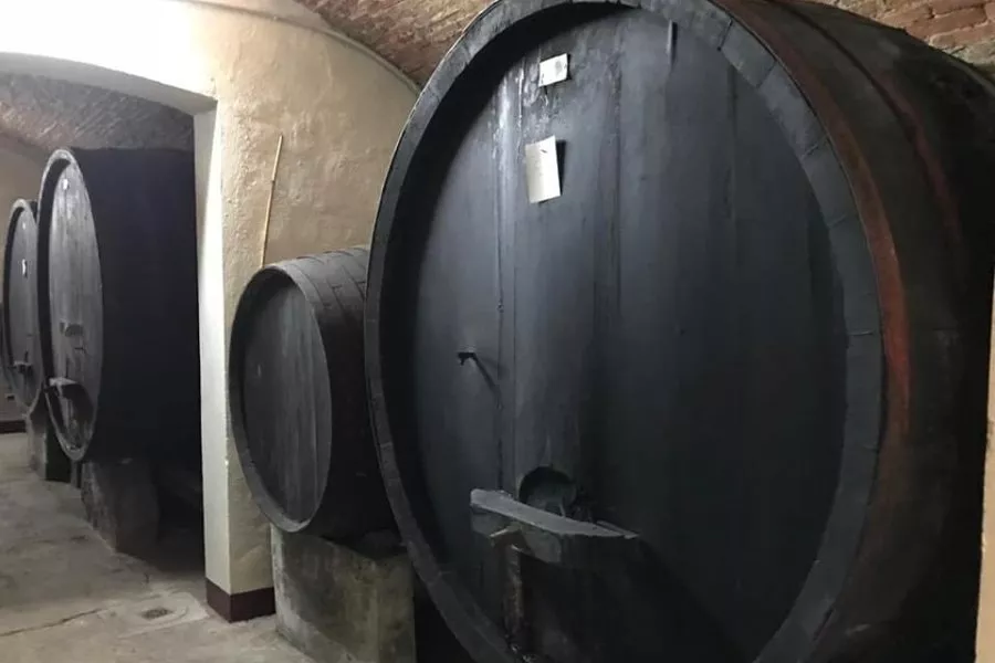 Immagine Visita con degustazione vino e olio 8 Immagine Visita con degustazione vino e olio 8